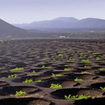Uga; El Corazon De Lanzarote Casa vacanze Uga